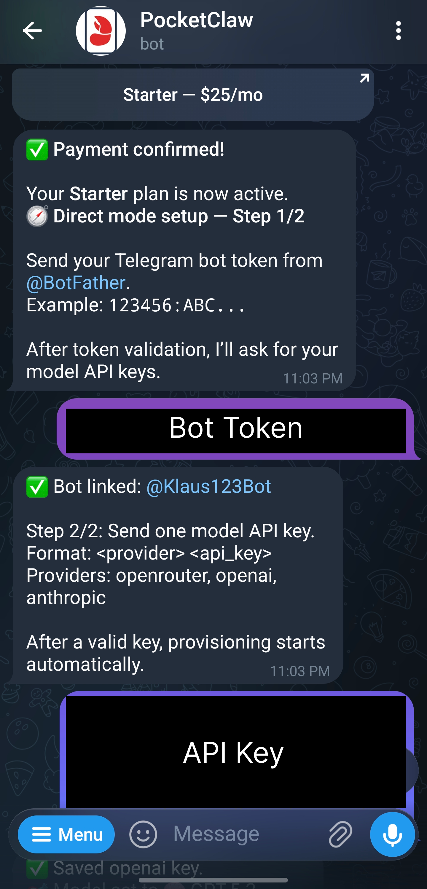 Direct mode payment and setup flow